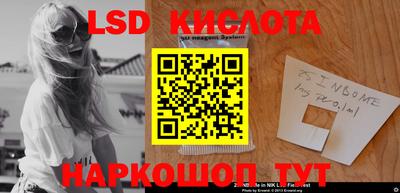спиды Камышлов