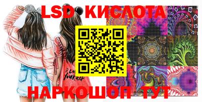 спиды Камышлов