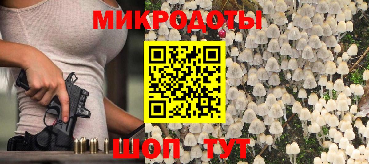 Псилоцибиновые грибы мицелий Великий Устюг