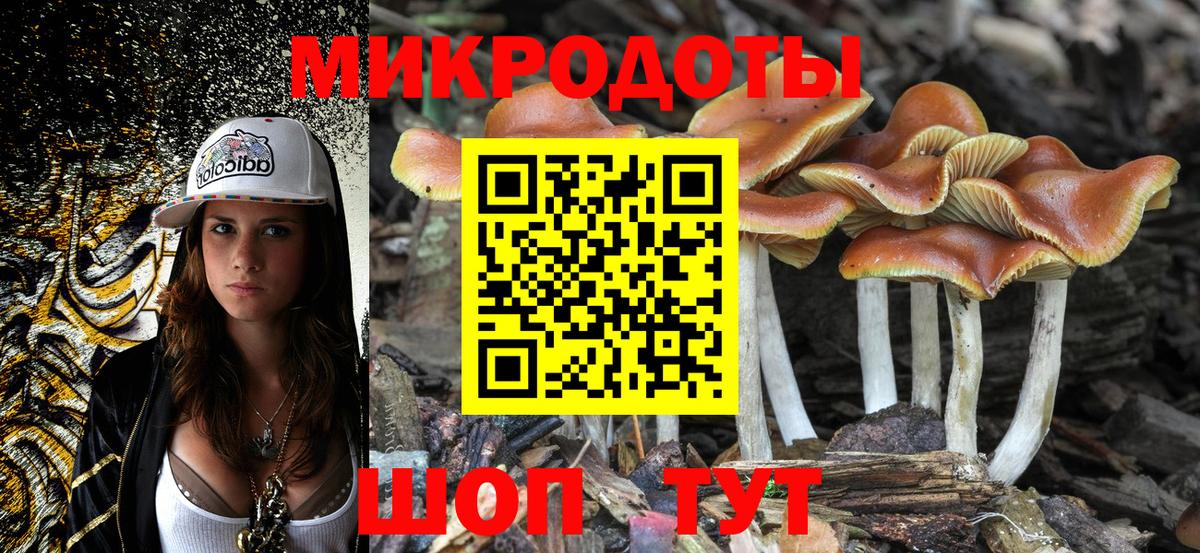 где купить наркоту  Галлюциногенные грибы MAGIC MUSHROOMS  Вход с VPN  Великий Устюг 